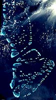 Мальдивы, группа из примерно 1200 островов, разделенных на ряд коралловых атоллов, находятся к северу от   Экватор   в   Индийский океан   ,  Только 200 островов населены